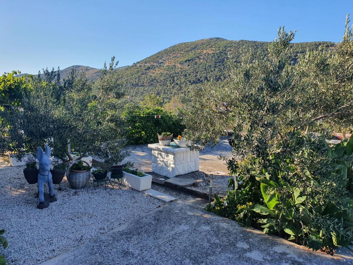 Apartman Mare Šibenik Esterno foto