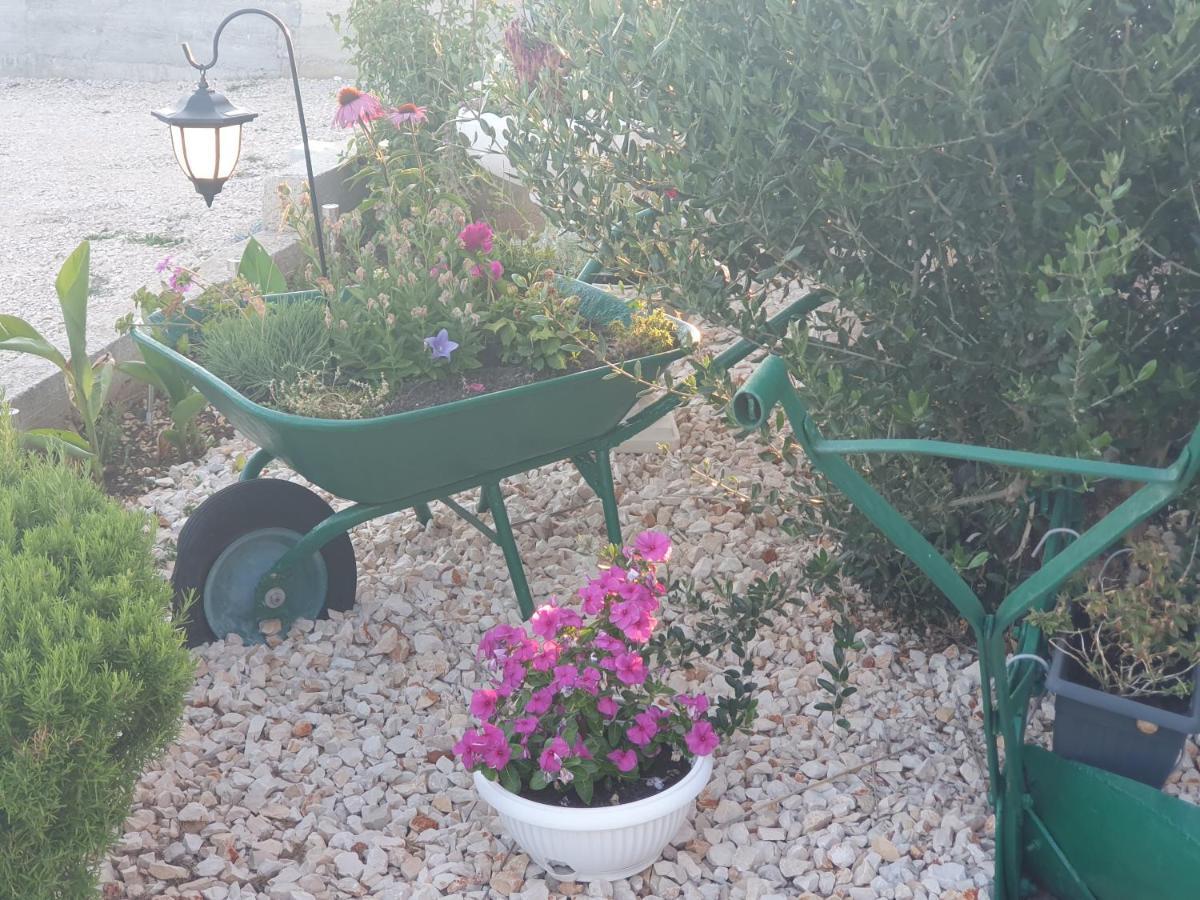 Apartman Mare Šibenik Esterno foto